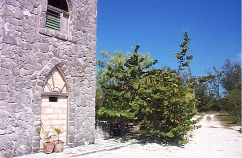 Tower's garden