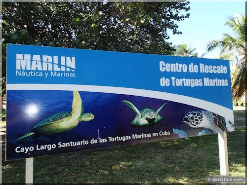 Centro de Rescate de Tortugas Marinas