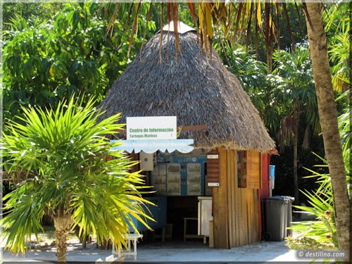 Centro de Rescate de Tortugas Marinas