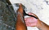 Tagging of a nesting sea turtle