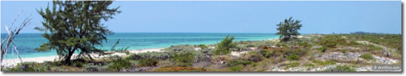 The northeast of Cayo Largo, Cuba